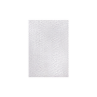 Light Silver
