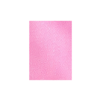 Wild Rose