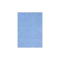 French Blue