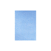 Capri Blue