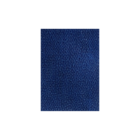 Light Navy