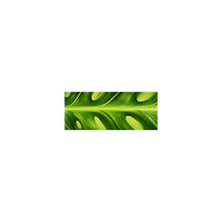 Monstera Green on Green Double-faced Satin Ribbon