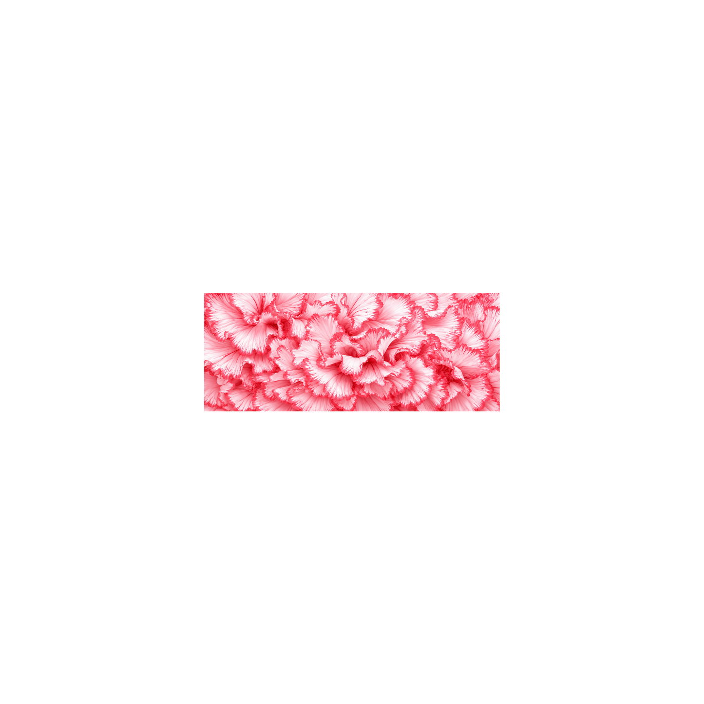 Pink Carnation Double-sided Satin Ribbon
