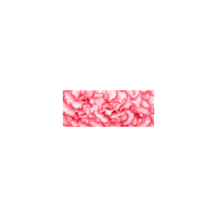 Pink Carnation Double-sided Satin Ribbon