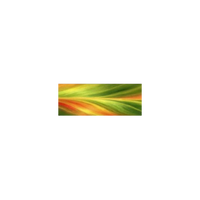 Sunrise Ti