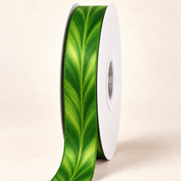 Rainforest Ti